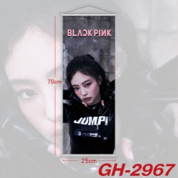BLACK PINK Plastic Rod Cloth S...