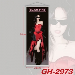 BLACK PINK Plastic Rod Cloth S...