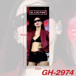 BLACK PINK Plastic Rod Cloth S...
