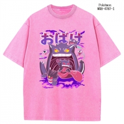 Pokemon Anime peripheral pure ...