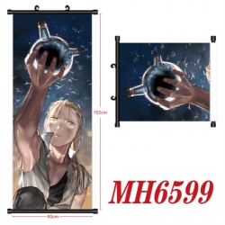 Fullmetal Alchemist Anime blac...