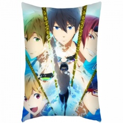 Free! Pillow 40X60 reserve for...