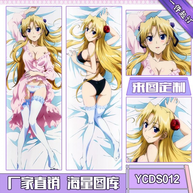 Campione!  Consistent with height 50*160cm cushion