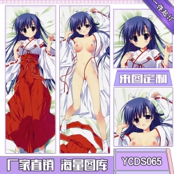 Hoshizora-e-kakaru-hashi Consi...