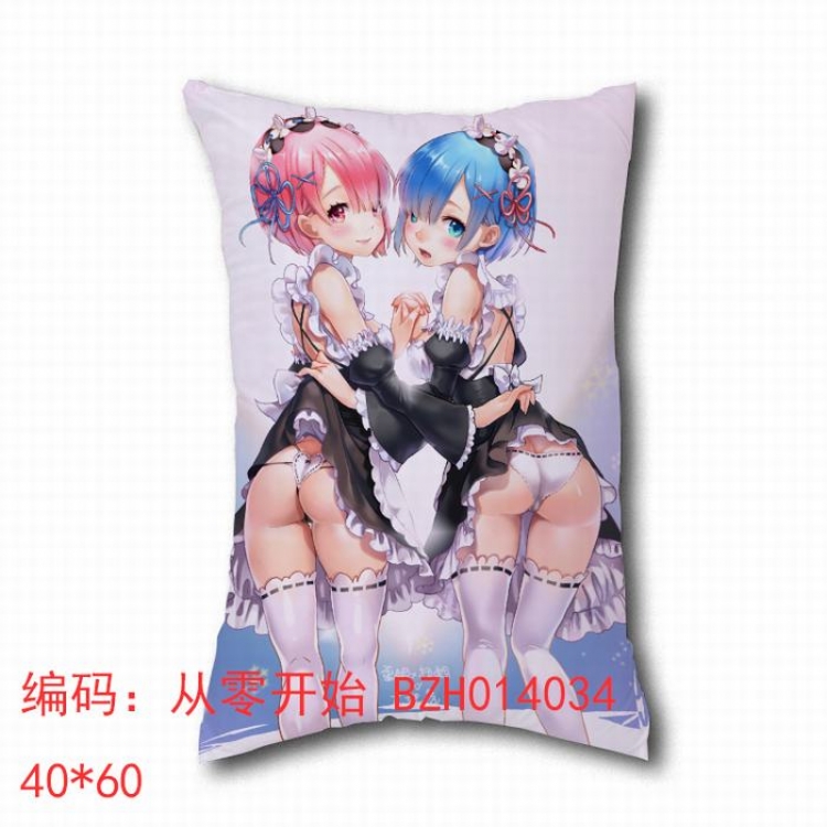 Re:Zero kara Hajimeru Isekai Seikatsu chuions pillow 45x45cm