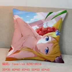 lovelive Eli Ayase chuions pil...