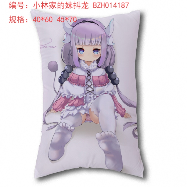 Kobayashi-san Chi no Maid Dragon 40*60cm
