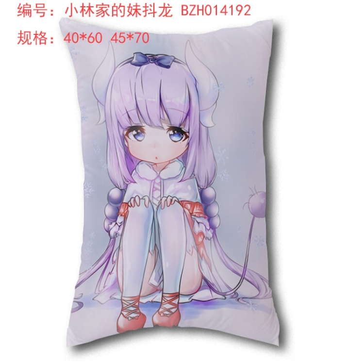 Kobayashi-san Chi no Maid Dragon 40*60cm