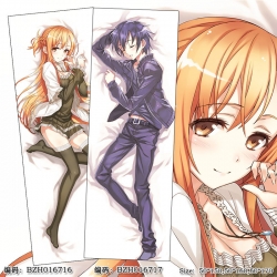 BZH016716 Sword Art Online Dou...
