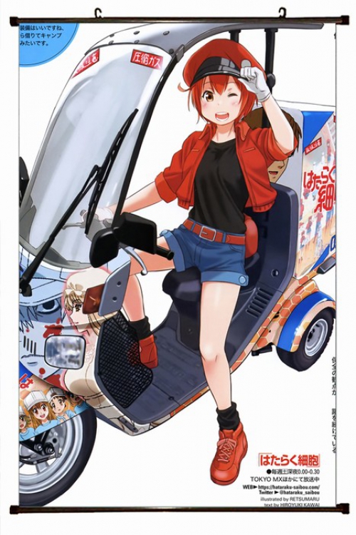 Working cell Plastic pole cloth painting Wall Scroll 60X90CM preorder 3 days G3-45 NO FILLING