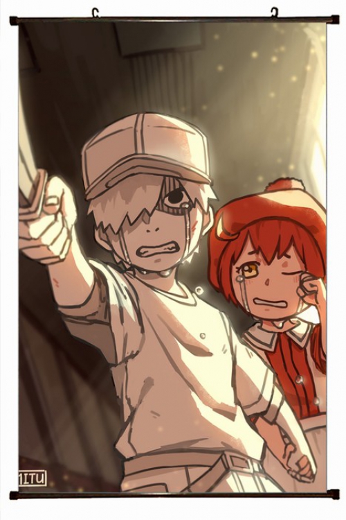 Working cell Plastic pole cloth painting Wall Scroll 60X90CM preorder 3 days G3-54 NO FILLING