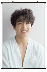 BTS Plastic pole cloth paintin...