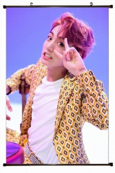 BTS Plastic pole cloth paintin...