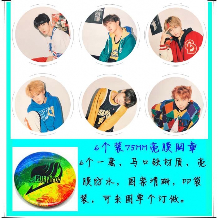 BTS 6 Brooch Bedge 75cm price for a set of 6 pcs