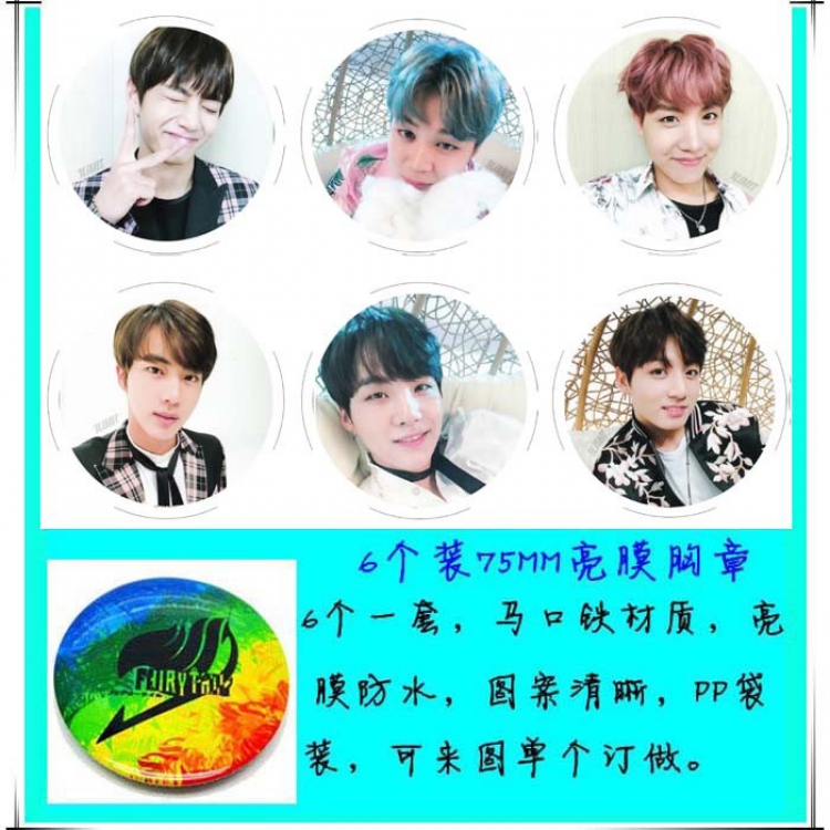 BTS 6 Brooch Bedge 75cm price for a set of 6 pcs