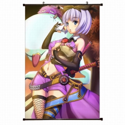 Pokemon Plastic pole cloth pai...