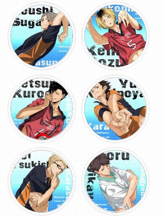 Haikyu!! Anime tinplate bright film badge round cloth brooch a set of six 75MM