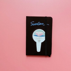 SEVENTEEN The same paragraph a...