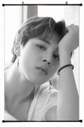 BTS Plastic pole cloth paintin...