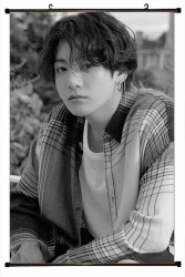 BTS Plastic pole cloth paintin...