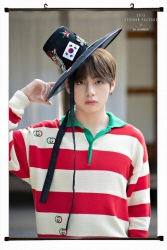 BTS Plastic pole cloth paintin...