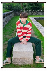 BTS Plastic pole cloth paintin...