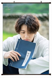 BTS Plastic pole cloth paintin...