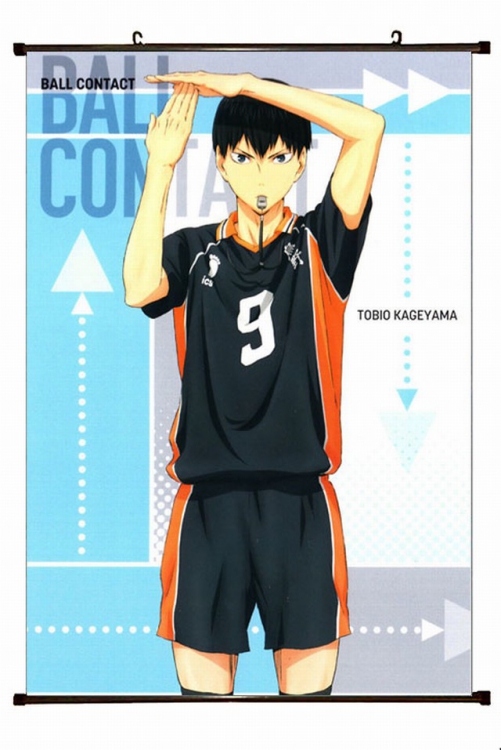Haikyuu!! Plastic pole cloth painting Wall Scroll 60X90CM preorder 3 days p1-123 NO FILLING