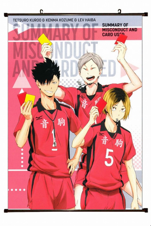 Haikyuu!! Plastic pole cloth painting Wall Scroll 60X90CM preorder 3 days p1-124 NO FILLING