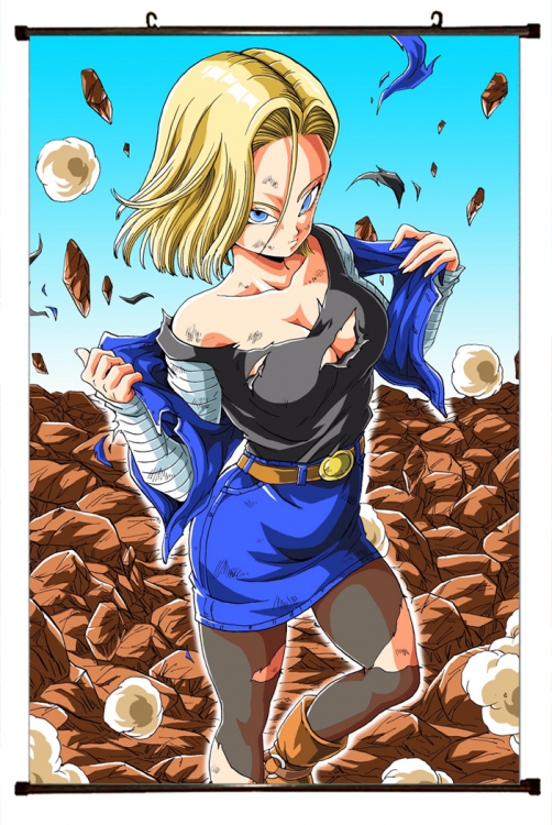 DRAGON BALL Plastic pole cloth painting Wall Scroll 60X90CM  GB-362 NO FILLING