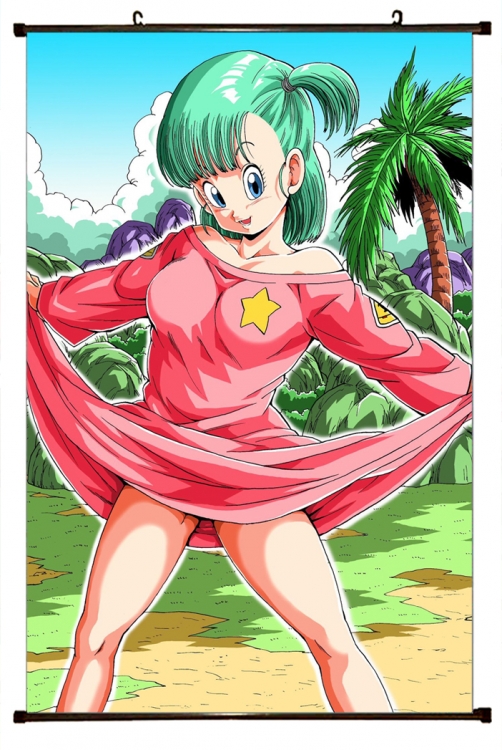 DRAGON BALL Plastic pole cloth painting Wall Scroll 60X90CM GB-366 NO FILLING