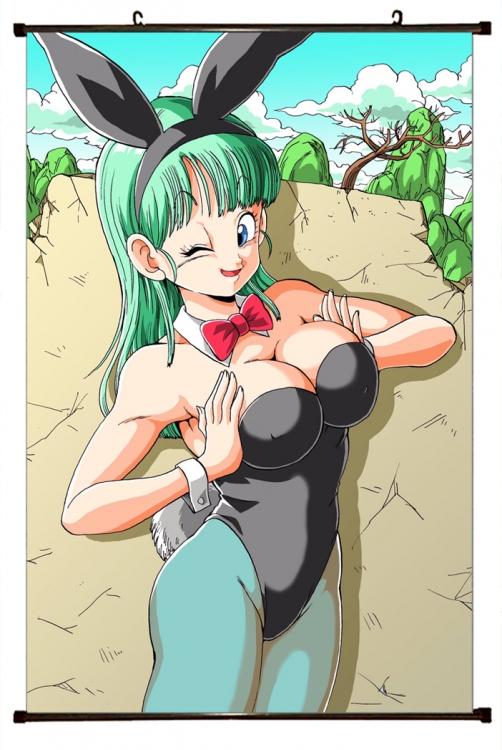 DRAGON BALL Plastic pole cloth painting Wall Scroll 60X90CM GB-365 NO FILLING