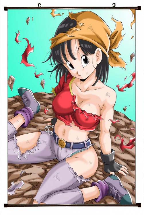 DRAGON BALL Plastic pole cloth painting Wall Scroll 60X90CM GB-378 NO FILLING