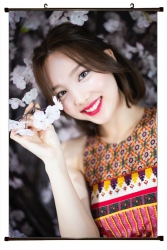 Twice star Plastic pole cloth ...