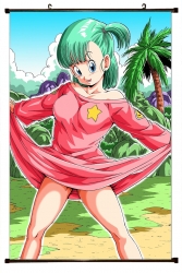 DRAGON BALL Plastic pole cloth...