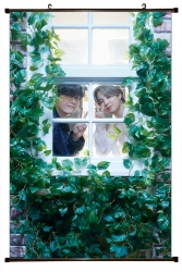 BTS Plastic pole cloth paintin...