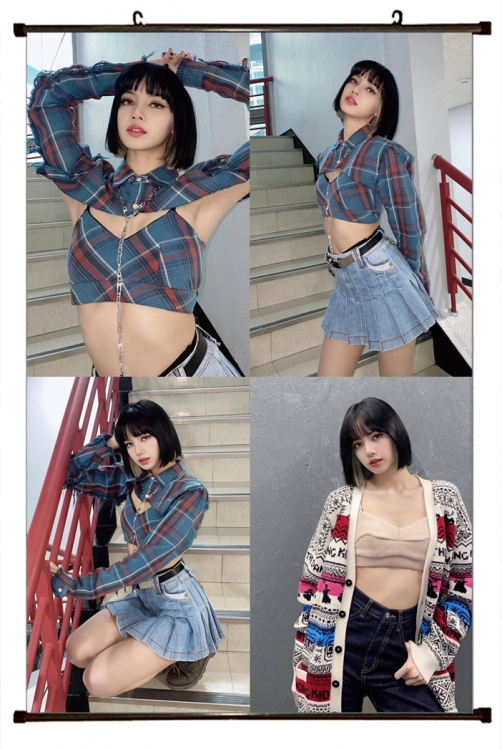 BLACK PINK  black  Plastic rod Cloth painting Wall Scroll 60X90CM BP421A