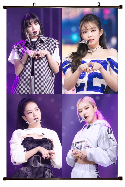 BLACK PINK  black  Plastic rod Cloth painting Wall Scroll 60X90CM BP392A