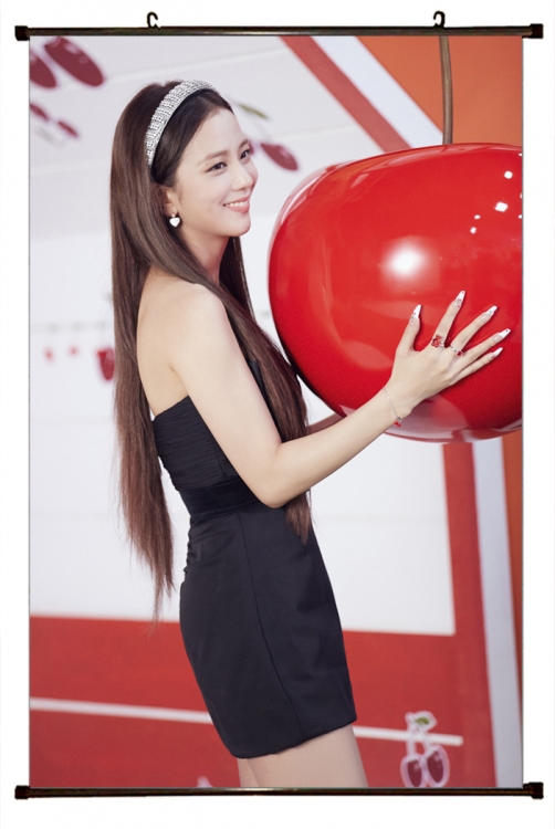 BLACKPINK black Plastic rod Cloth painting Wall Scroll 60X90CM BP355