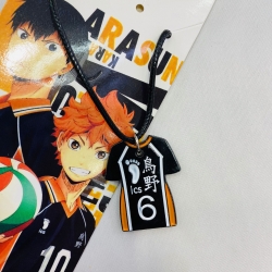 Haikyuu!! Anime Stainless stee...