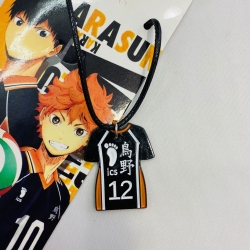 Haikyuu!! Anime Stainless stee...
