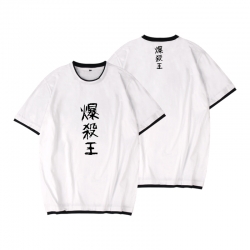 My Hero Academia Full color pr...