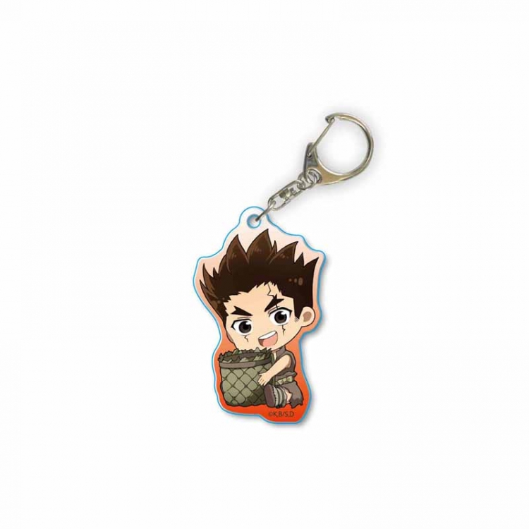 Dr.STONE Anime acrylic Key Chain price for 5 pcs 2148