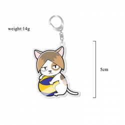 Haikyuu!! Anime acrylic Key Ch...