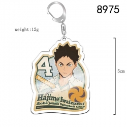 Haikyuu!! Anime acrylic Key Ch...