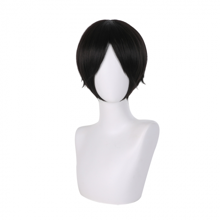 blue period Universal short hair cos wig 528C