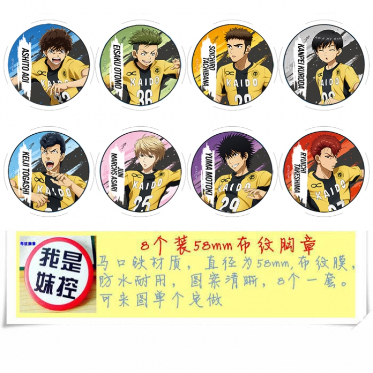 Cyan Reed Anime round Badge cloth Brooch a set of 8 58MM