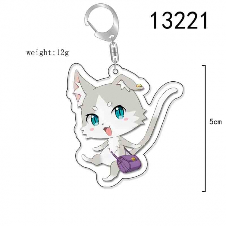 Re:Zero kara Hajimeru Isekai Seikatsu Acrylic Keychain Charm price for 5 pcs  13221