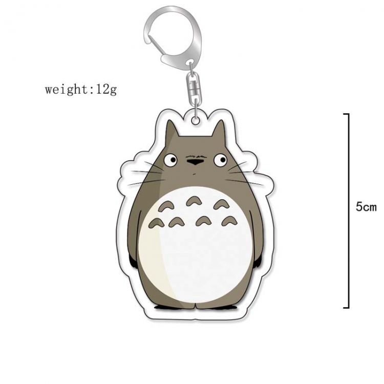 TOTORO Anime Acrylic Keychain Charm price for 5 pcs 13251