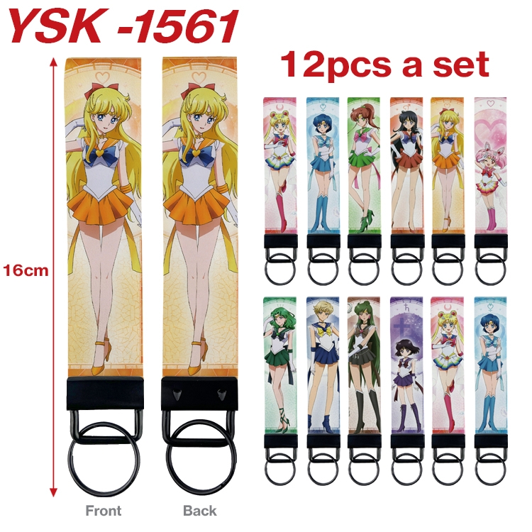 TOTORO Anime mobile phone rope keychain 16CM a set of 12  YSK-1561